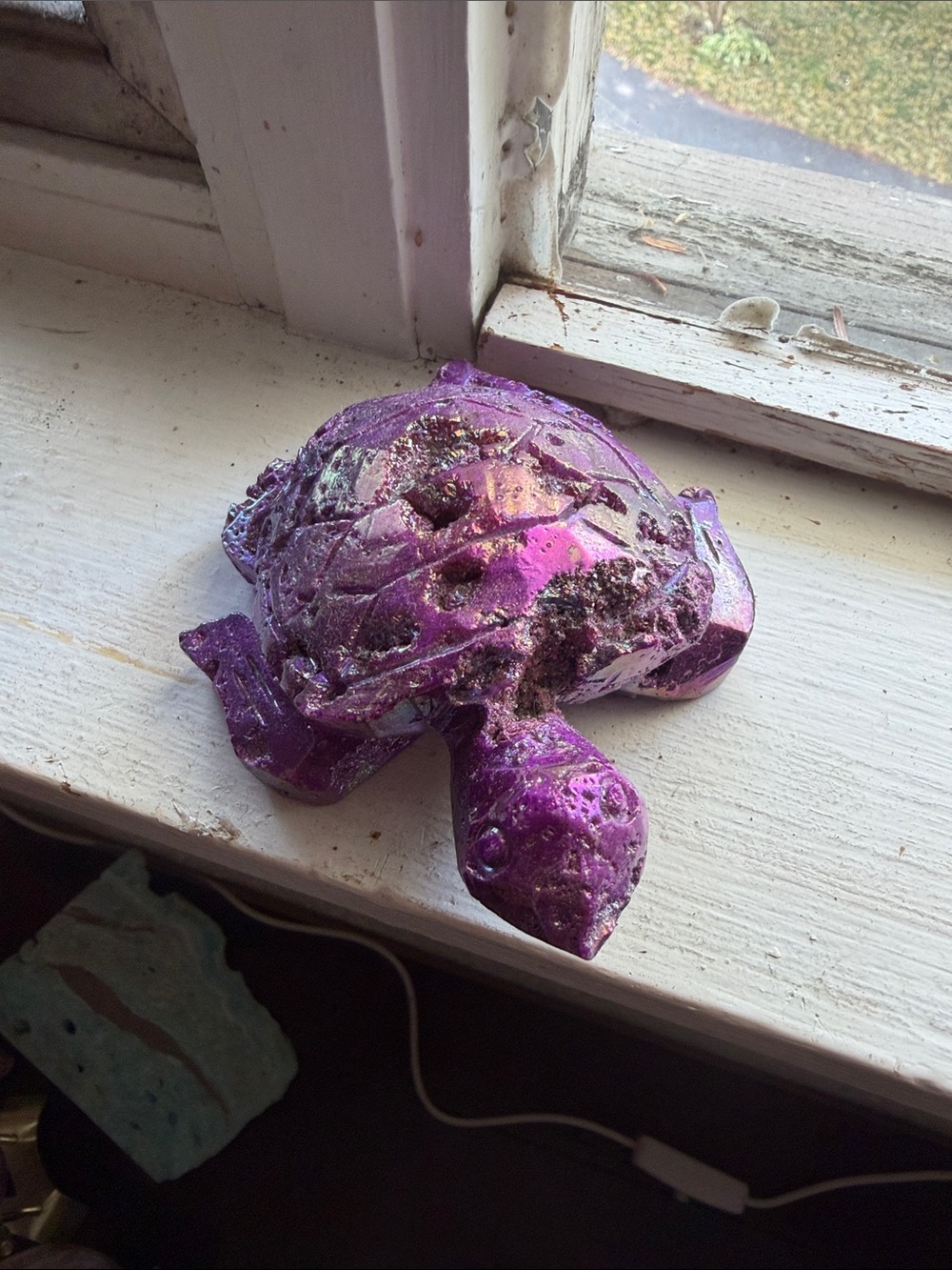 Aura coated turtle